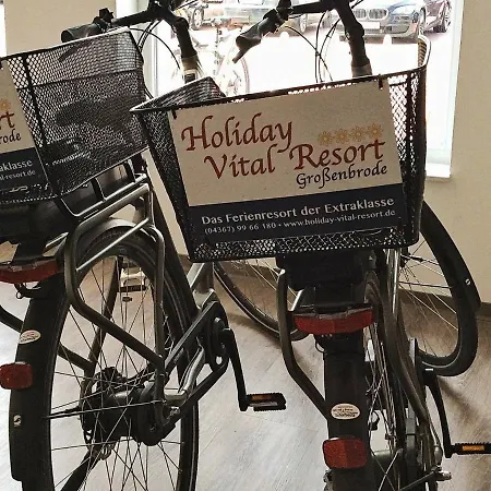 5 Star Holiday In *